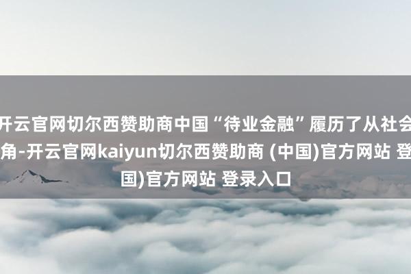 开云官网切尔西赞助商中国“待业金融”履历了从社会行状视角-开云官网kaiyun切尔西赞助商 (中国)官方网站 登录入口