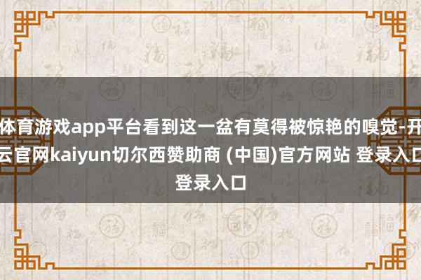 体育游戏app平台看到这一盆有莫得被惊艳的嗅觉-开云官网kaiyun切尔西赞助商 (中国)官方网站 登录入口
