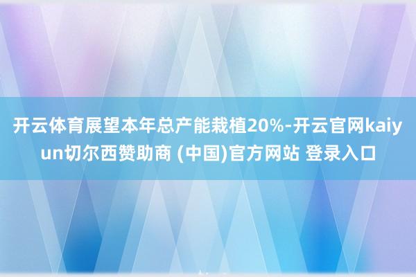 开云体育展望本年总产能栽植20%-开云官网kaiyun切尔西赞助商 (中国)官方网站 登录入口
