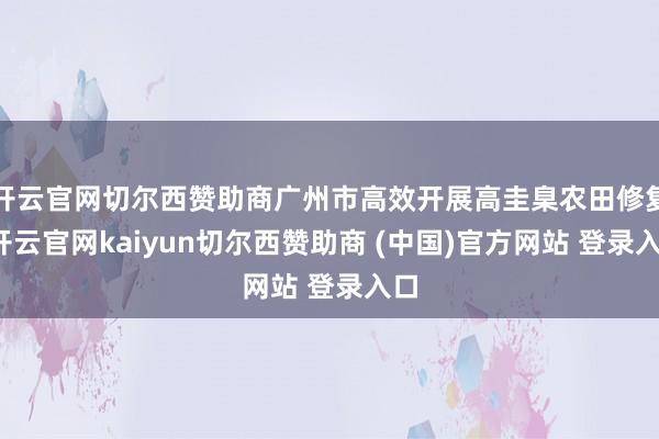 开云官网切尔西赞助商广州市高效开展高圭臬农田修复-开云官网kaiyun切尔西赞助商 (中国)官方网站 登录入口
