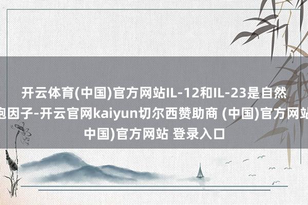 开云体育(中国)官方网站IL-12和IL-23是自然产生的细胞因子-开云官网kaiyun切尔西赞助商 (中国)官方网站 登录入口